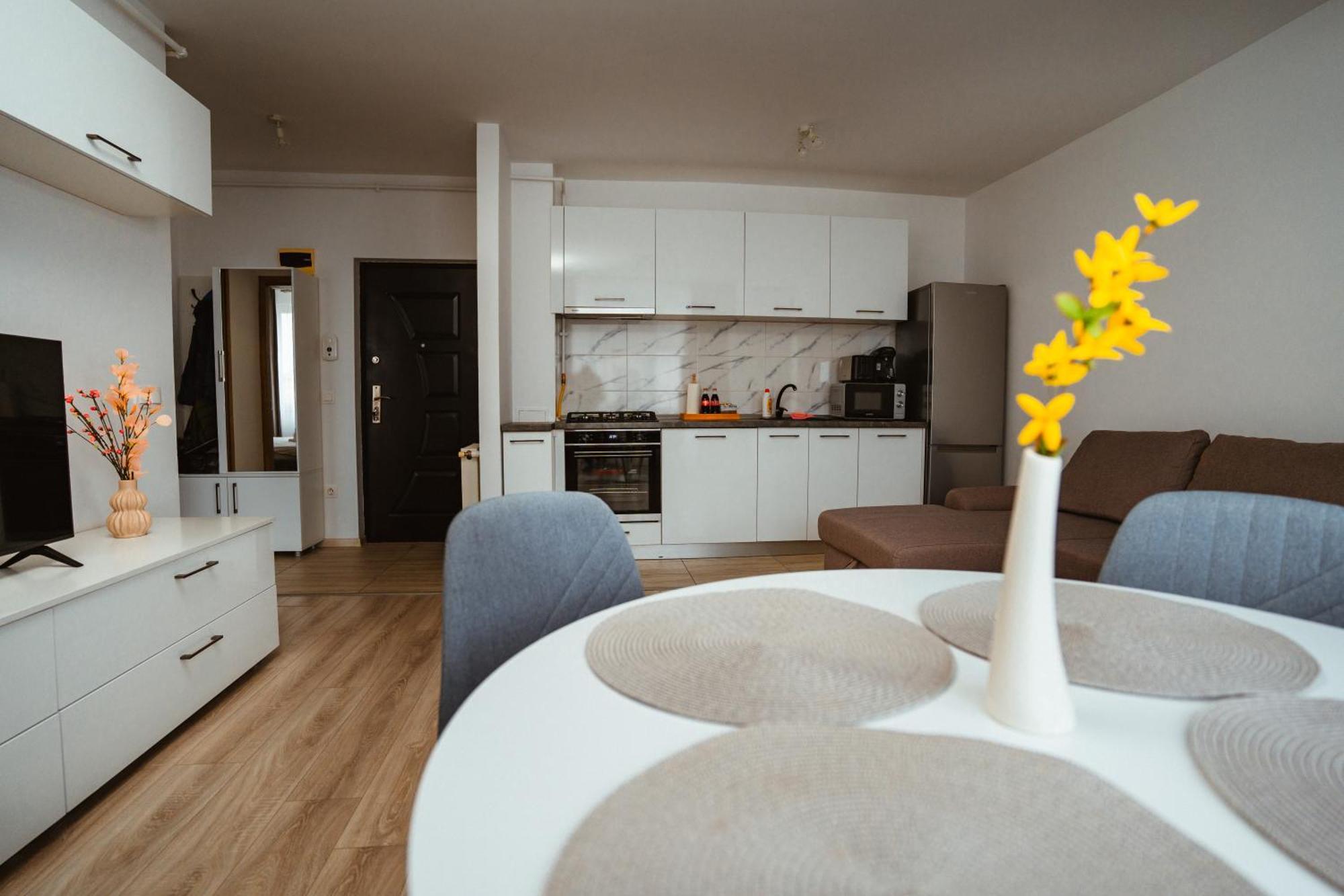 Maria'S Premium Suite Baia Mare Exterior photo
